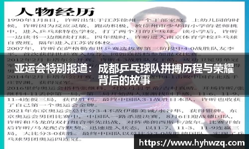 Bibo必博