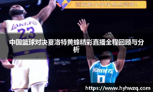 Bibo必博官网