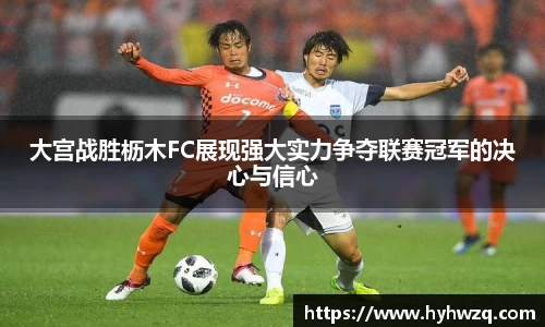 Bibo必博官网
