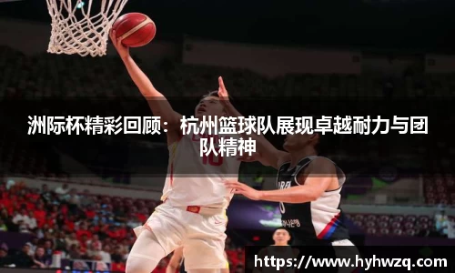 Bibo必博